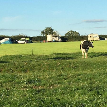 Carreg Y Gwynt Campsite - Touring And Tent Pitches Hotel Llanarth  Екстериор снимка