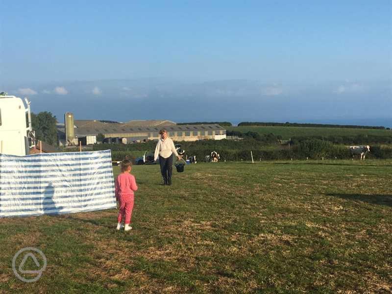 Carreg Y Gwynt Campsite - Touring And Tent Pitches Hotel Llanarth  Екстериор снимка