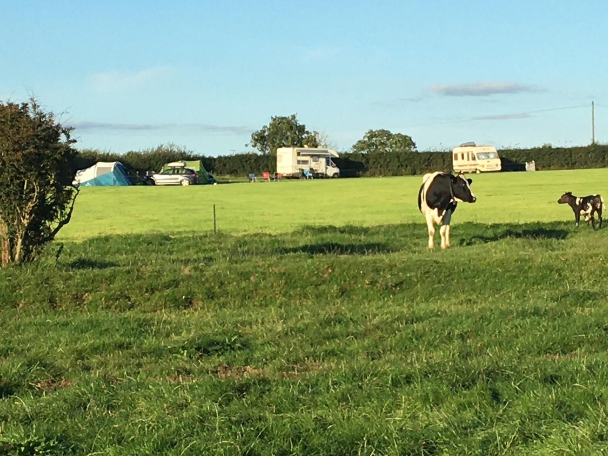Carreg Y Gwynt Campsite - Touring And Tent Pitches Hotel Llanarth  Екстериор снимка